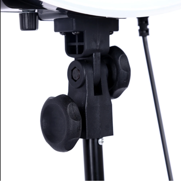 pro ring light studio